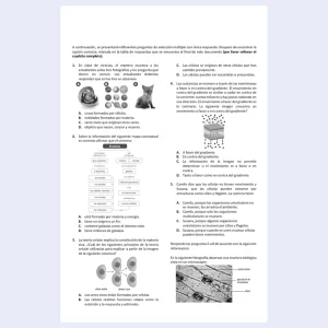 formato para prueba diagnóstica sexto grado