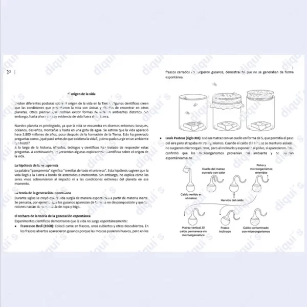 El origen de la vida