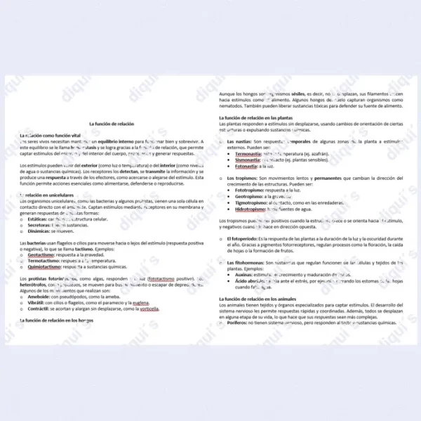 Función de relación