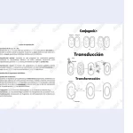 Imagen siguiente del producto