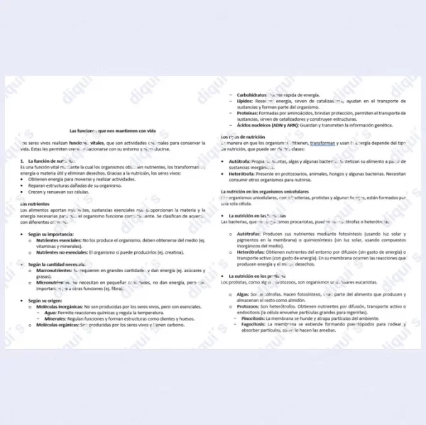 Función de nutrición